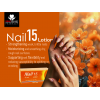 NAIL 15 LOTION -- TOPICAL NAIL CARE FORMULATION FOR EXTERNAL USE 15 ML NAIL 15 LOTION -- TOPICAL NAIL CARE FORMULATION FOR EXTERNAL USE 15 ML